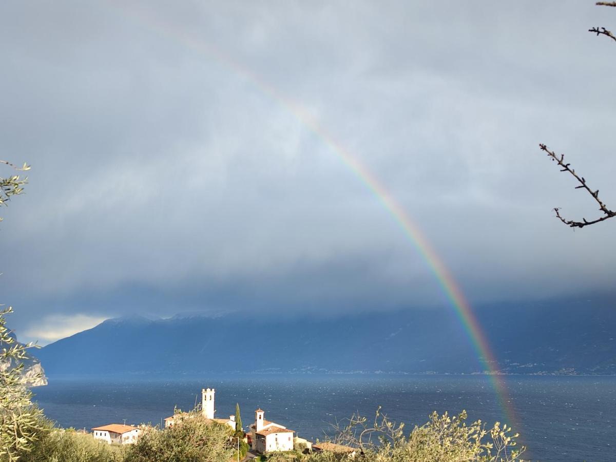 Agriturismo L'Uliveto Gargnano Bilik gambar